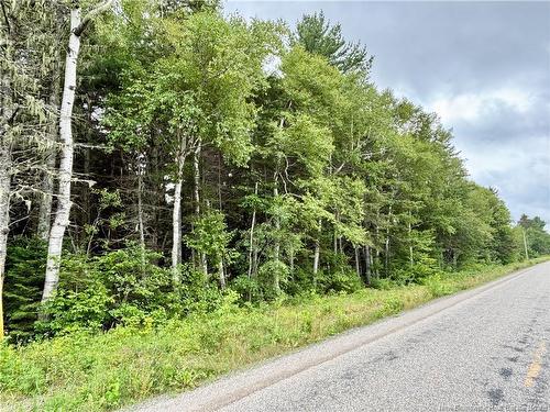 5 Acres Burnt Church Rd, Burnt Church, NB - Other
