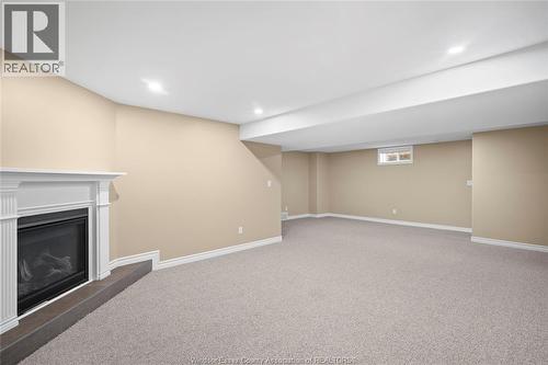 384 Boismier, Lasalle, ON - Indoor Photo Showing Basement