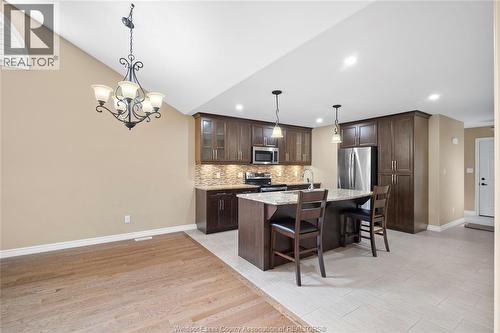 384 Boismier, Lasalle, ON - Indoor Photo Showing Kitchen With Stainless Steel Kitchen With Upgraded Kitchen