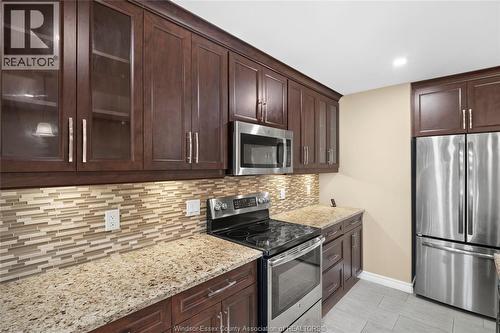 384 Boismier, Lasalle, ON - Indoor Photo Showing Kitchen With Stainless Steel Kitchen With Upgraded Kitchen