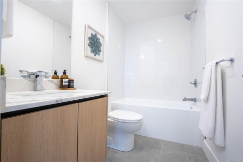#212-258 Helmcken Rd, View Royal, BC - Indoor Photo Showing Bathroom