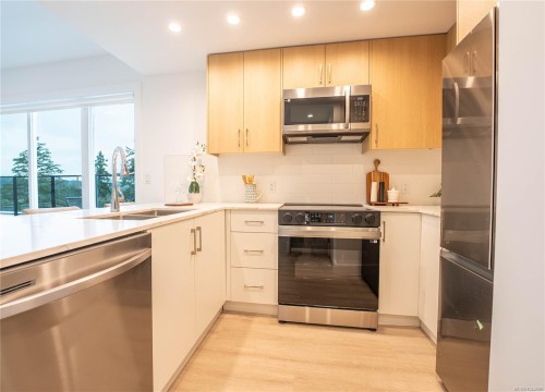 #212-258 Helmcken Rd, View Royal, BC - Indoor Photo Showing Kitchen With Stainless Steel Kitchen With Double Sink With Upgraded Kitchen