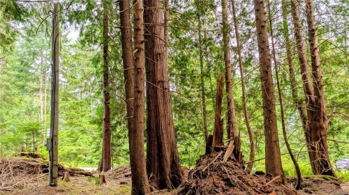1685 Hess Rd, Gabriola Island, BC 