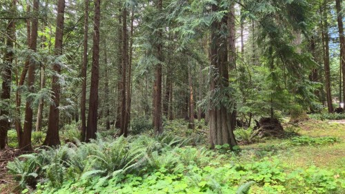1685 Hess Rd, Gabriola Island, BC 