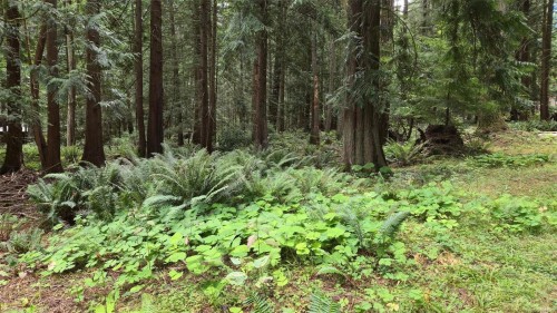 1685 Hess Rd, Gabriola Island, BC 