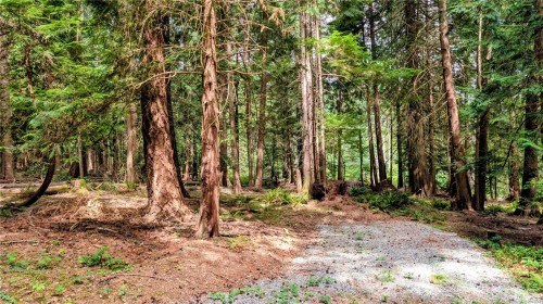 1685 Hess Rd, Gabriola Island, BC 