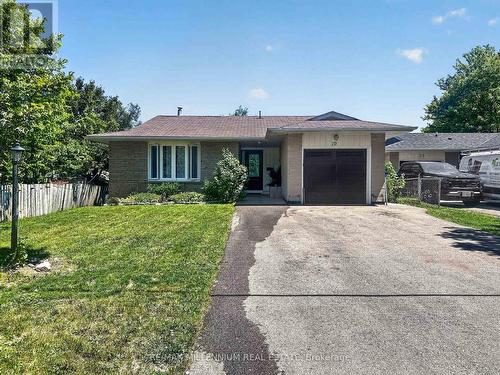 19 Cardwell Street, Orangeville, ON - Outdoor