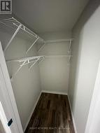 Basement Closet - 