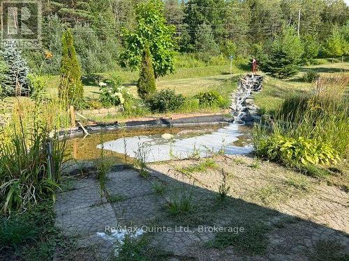 1874 Stockdale Road, Quinte West (Murray Ward), ON - Outdoor