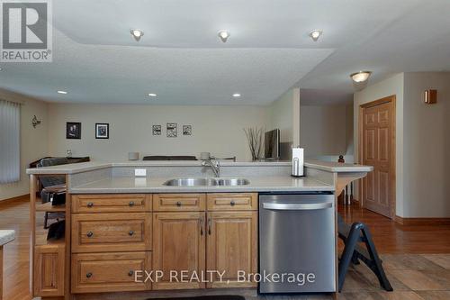 225 Minnie Street, Thames Centre (Dorchester), ON - Indoor Photo Showing Kitchen With Double Sink
