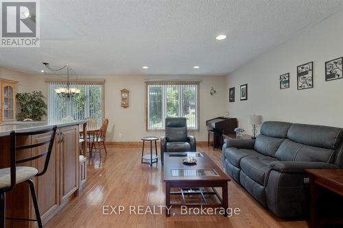 225 Minnie Street, Thames Centre (Dorchester), ON - Indoor Photo Showing Living Room