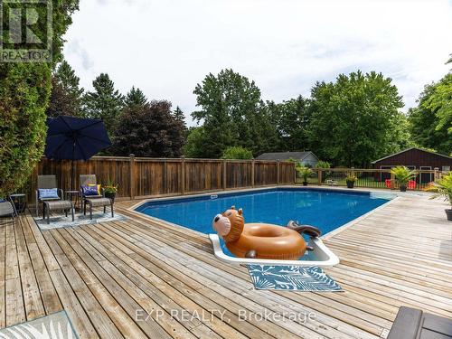 225 Minnie Street, Thames Centre (Dorchester), ON - Outdoor With In Ground Pool With Deck Patio Veranda With Backyard