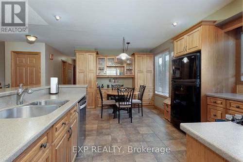 225 Minnie Street, Thames Centre (Dorchester), ON - Indoor Photo Showing Kitchen With Double Sink