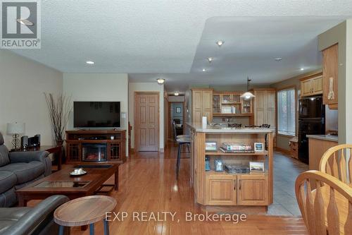 225 Minnie Street, Thames Centre (Dorchester), ON - Indoor Photo Showing Living Room