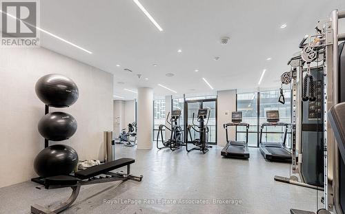 1206 - 480 Front Street W, Toronto, ON - Indoor Photo Showing Gym Room