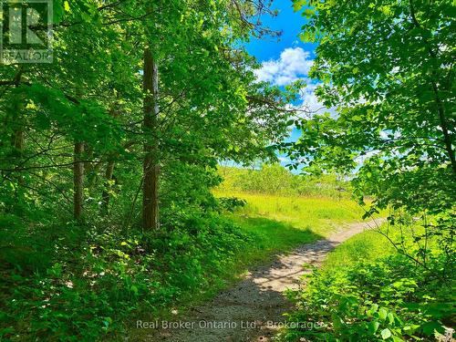 Trails Through Forest - 50 Payette Drive, Penetanguishene, ON - Outdoor