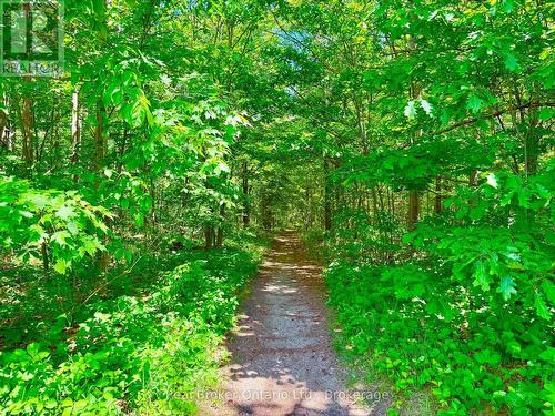 Trails Through Forest - 50 Payette Drive, Penetanguishene, ON - Outdoor