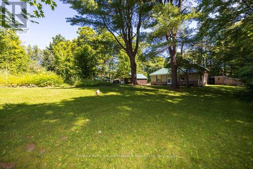 Privacy Abounds - 15 Victoria Street W, Seguin, ON - Outdoor