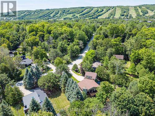 156 Chamonix Crescent, Blue Mountains, ON - Outdoor With View