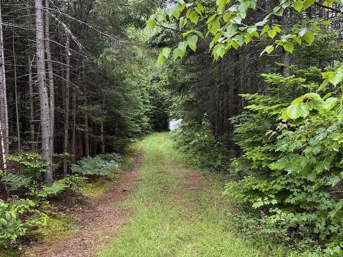 520 Falkenham Road, East Dalhousie, NS 