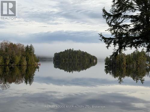 1087 Lagoon Road, Highlands East (Cardiff Ward), ON - Outdoor With Body Of Water With View