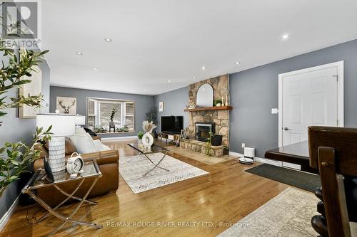 1087 Lagoon Road, Highlands East (Cardiff Ward), ON - Indoor Photo Showing Living Room With Fireplace