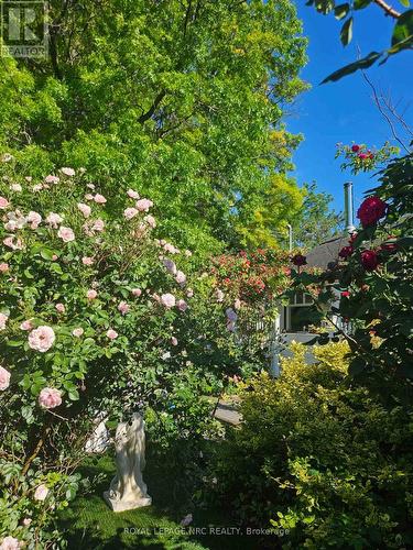 7 Vera Street, St. Catharines (Western Hill), ON - Outdoor