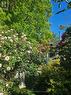 7 Vera Street, St. Catharines (Western Hill), ON  - Outdoor 