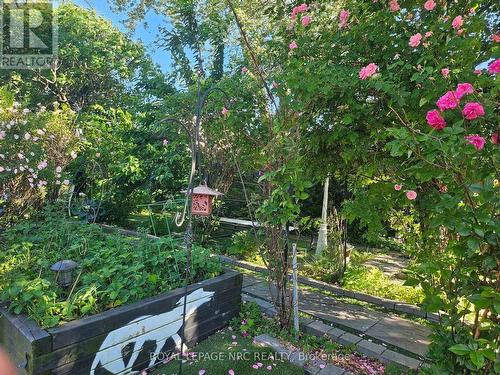 7 Vera Street, St. Catharines (Western Hill), ON - Outdoor