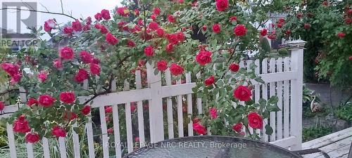 7 Vera Street, St. Catharines (Western Hill), ON - Outdoor