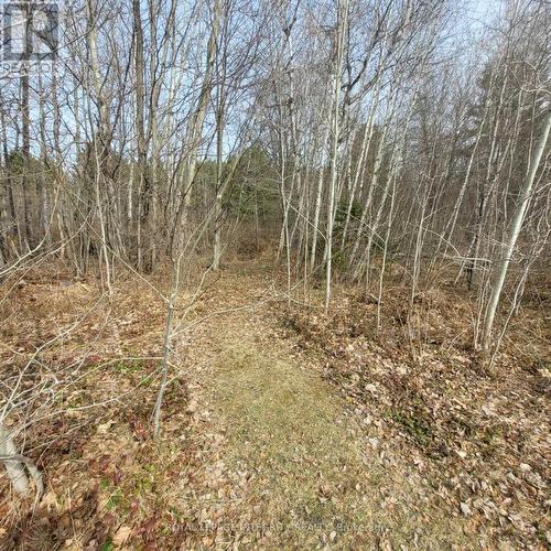 private forest on lot - 53 Beaver Lane, The Nation, ON - Outdoor With View