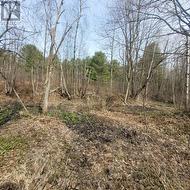 great for nature lovers - 