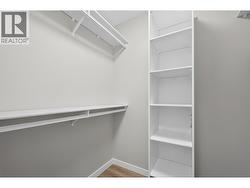 Large Walk in Mast Closet - 