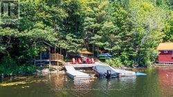 Extensive decking & docking - 