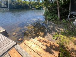 Natural sandy beach area for young ones & pets - 