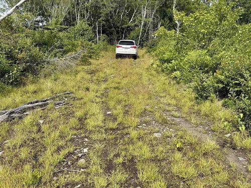 Lot Dargie Cove Rd, Beaver River, NS 