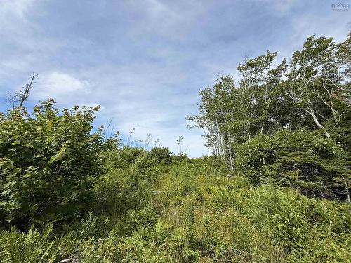 Lot Dargie Cove Rd, Beaver River, NS 