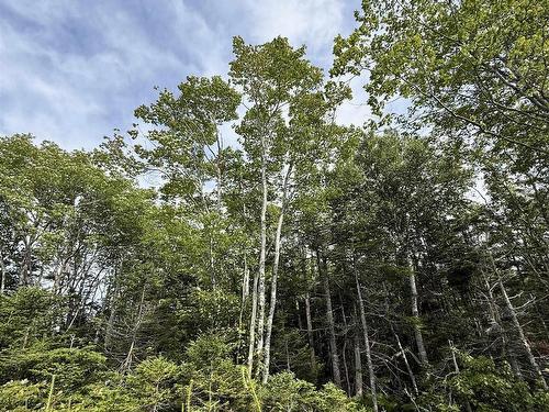 Lot Dargie Cove Rd, Beaver River, NS 