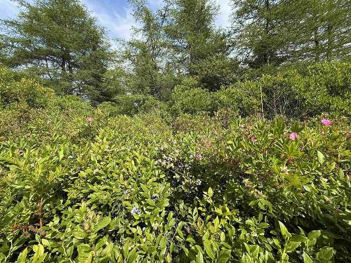 Lot Dargie Cove Rd, Beaver River, NS 