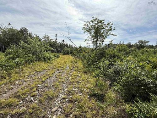 Lot Dargie Cove Rd, Beaver River, NS 