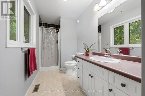 16 Normandy Boulevard, Halton Hills, ON - Indoor Photo Showing Bathroom