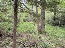 Lot 2026 Perotte Road, Perotte, NS 