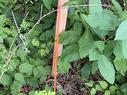 Lot 2026 Perotte Road, Perotte, NS 