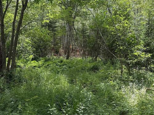 Lot 2026 Perotte Road, Perotte, NS 