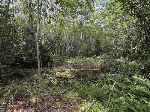 Lot 2026 Perotte Road, Perotte, NS 