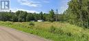 18 Nestorville Road, Thessalon, ON 