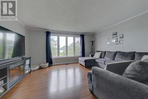 120 Station Road, Corner Brook, NL - Indoor Photo Showing Living Room With Fireplace
