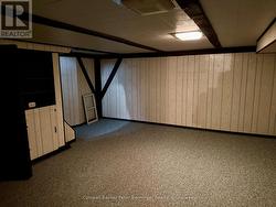 basement rec room - 