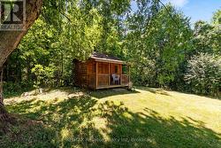 bunkie with 3 beds - 