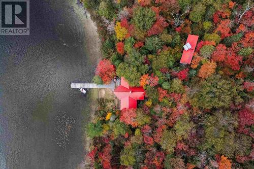 710 Trout Lake, Heyden, ON - Outdoor